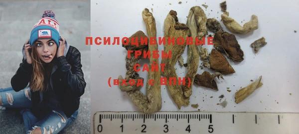 молекула духа Кулебаки