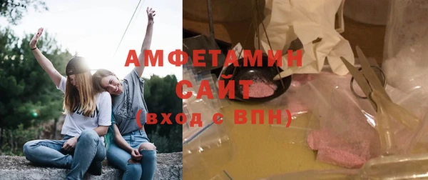 молекула духа Кулебаки
