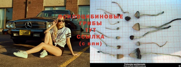 а пвп мука Снежногорск