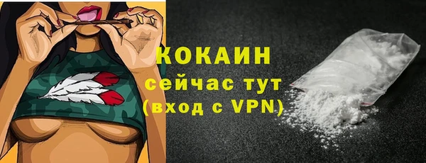 ALPHA PVP Куйбышев