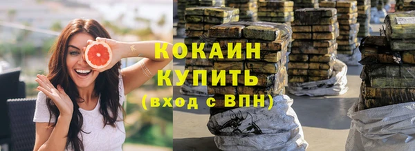 дживик Лагань